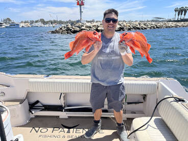 Limits on 1/2 Day!!!