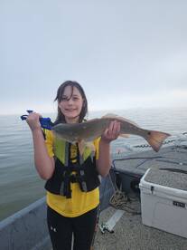 Galveston Report Photo 2