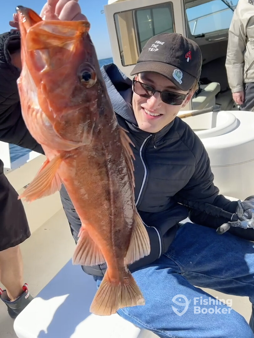 San Diego Report Photo 0