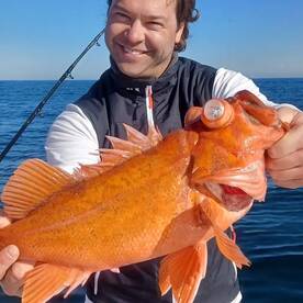 03/28/2023 - (3) AM Halfdays