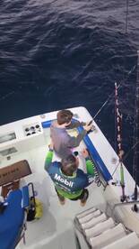 Cabo San Lucas Report Photo 1