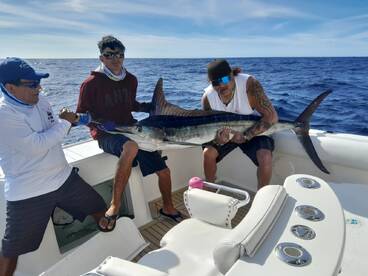 Cabo San Lucas Report Photo 2