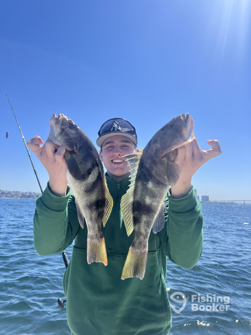 San Diego Report Photo 0