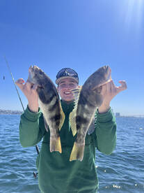 4 hour and 6 hour trips are biting! 