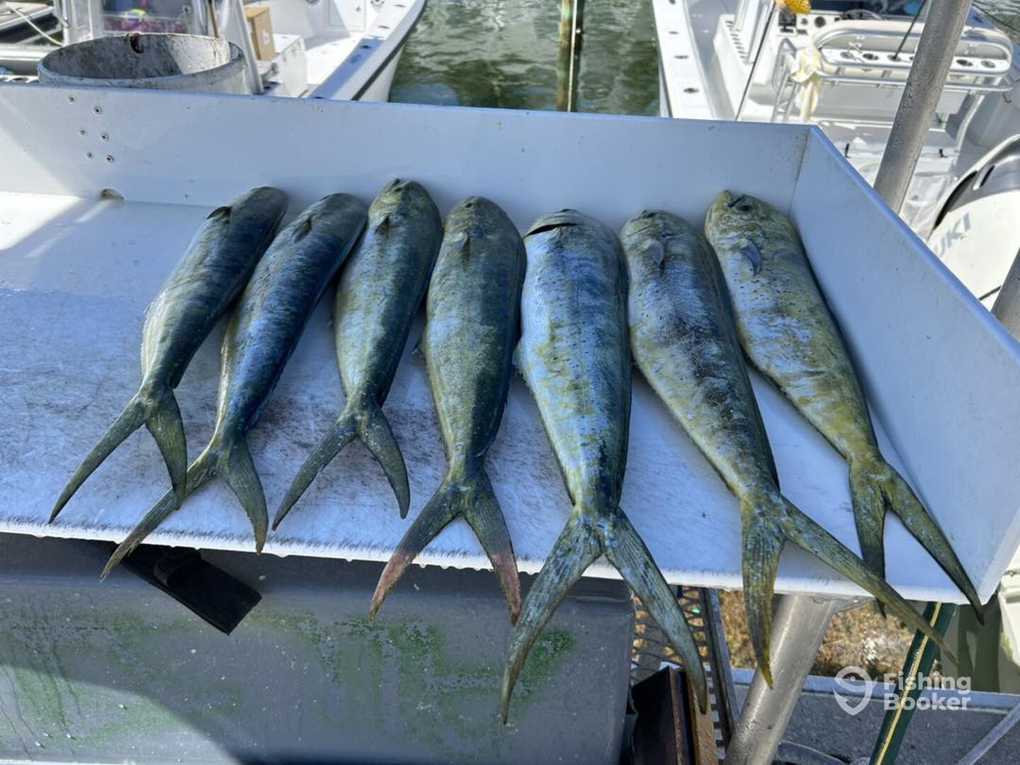 Stock Island Report Photo 0
