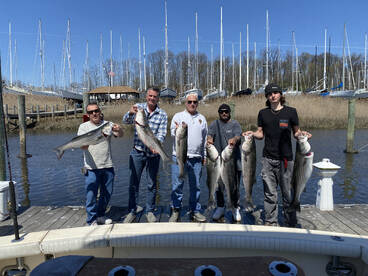 Raritan bay stripers