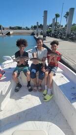 Snapper evening trips.