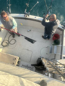Algoma Report Photo 2