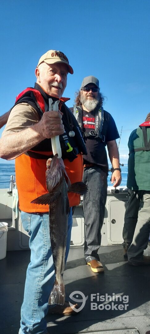 Newport Report Photo 0