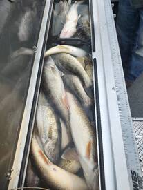 Lakeside Marblehead Report Photo 1