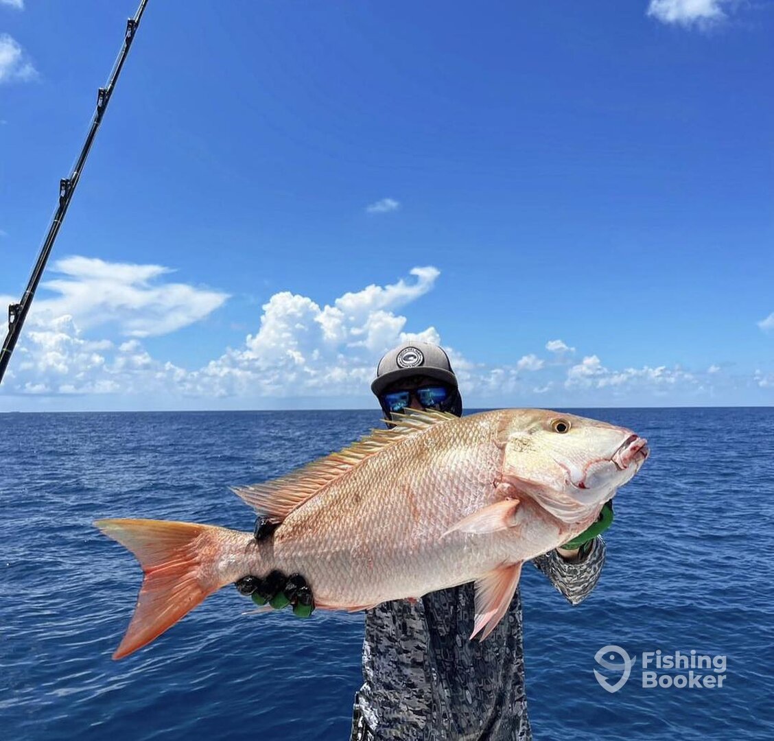 Stock Island Report Photo 0