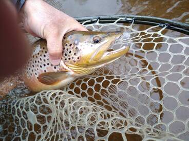 Spring is getting closer