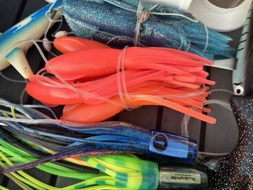 Quepos Report Photo 1