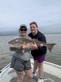 Mandeville Report Photo 1