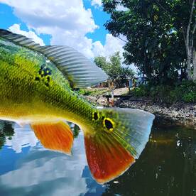 Bonita Springs Report Photo 1
