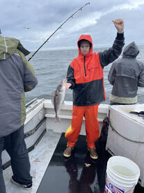 Gloucester Report Photo 1