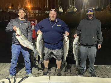 Been busy with the fish