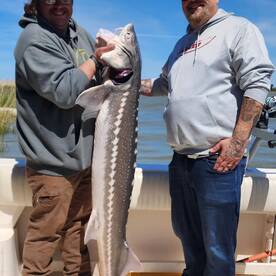 Sturgeon action has been on fire ?!! 