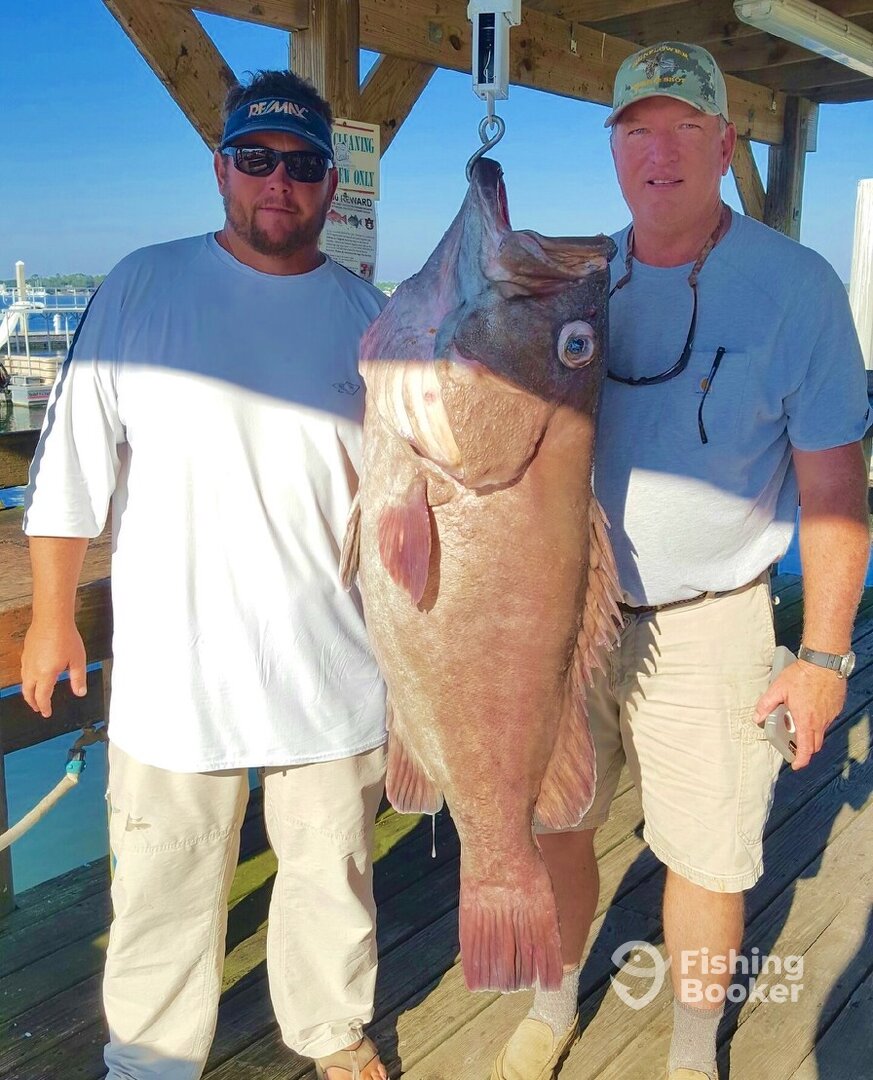 Orange Beach Report Photo 0