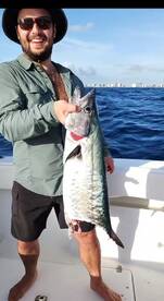 Bachelor party Shark, Kingfish and Bonit