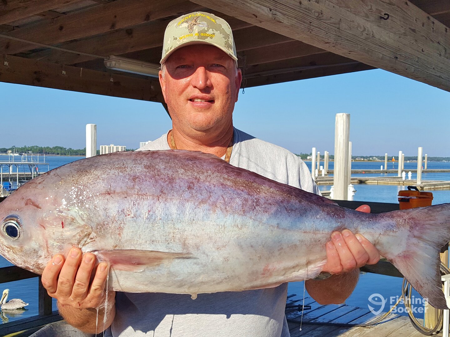 Orange Beach Report Photo 0