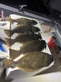 Halibut bite going off!!