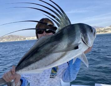San Jose del Cabo Report Photo 1