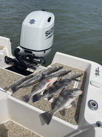 Galveston Report Photo 2