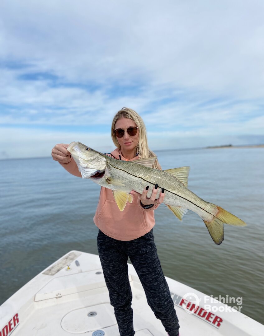 Jacksonville Report Photo 0