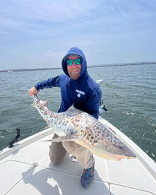 San Diego Report Photo 2