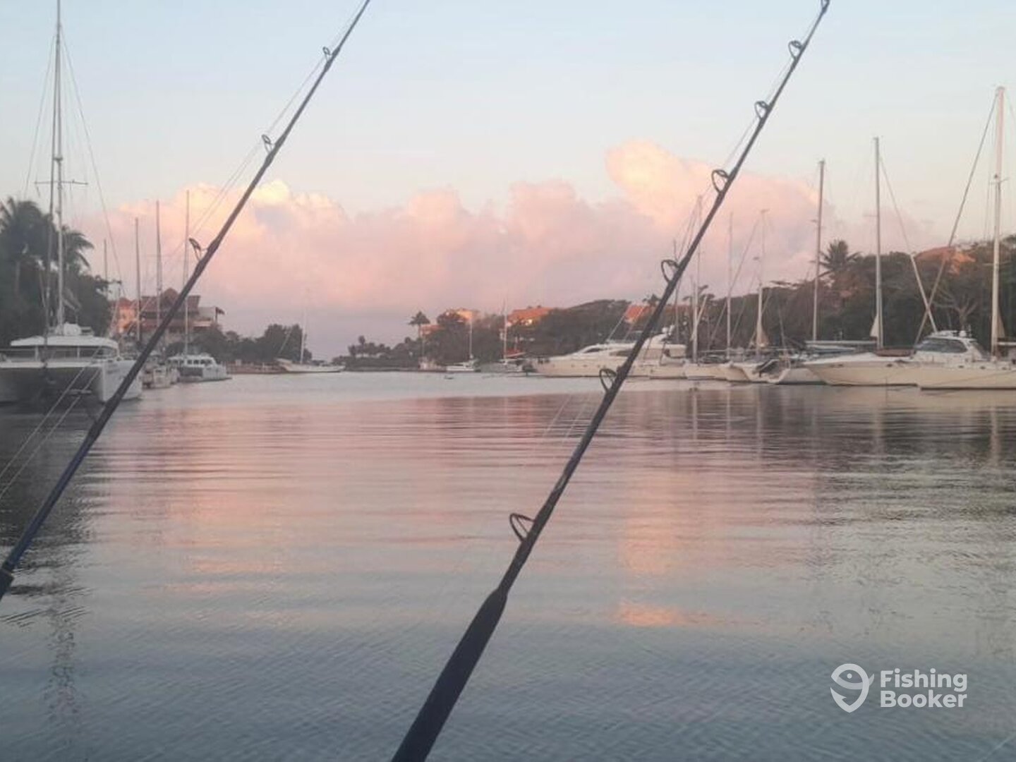 Puerto Aventuras Report Photo 0