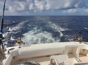 Puerto Aventuras Report Photo 1