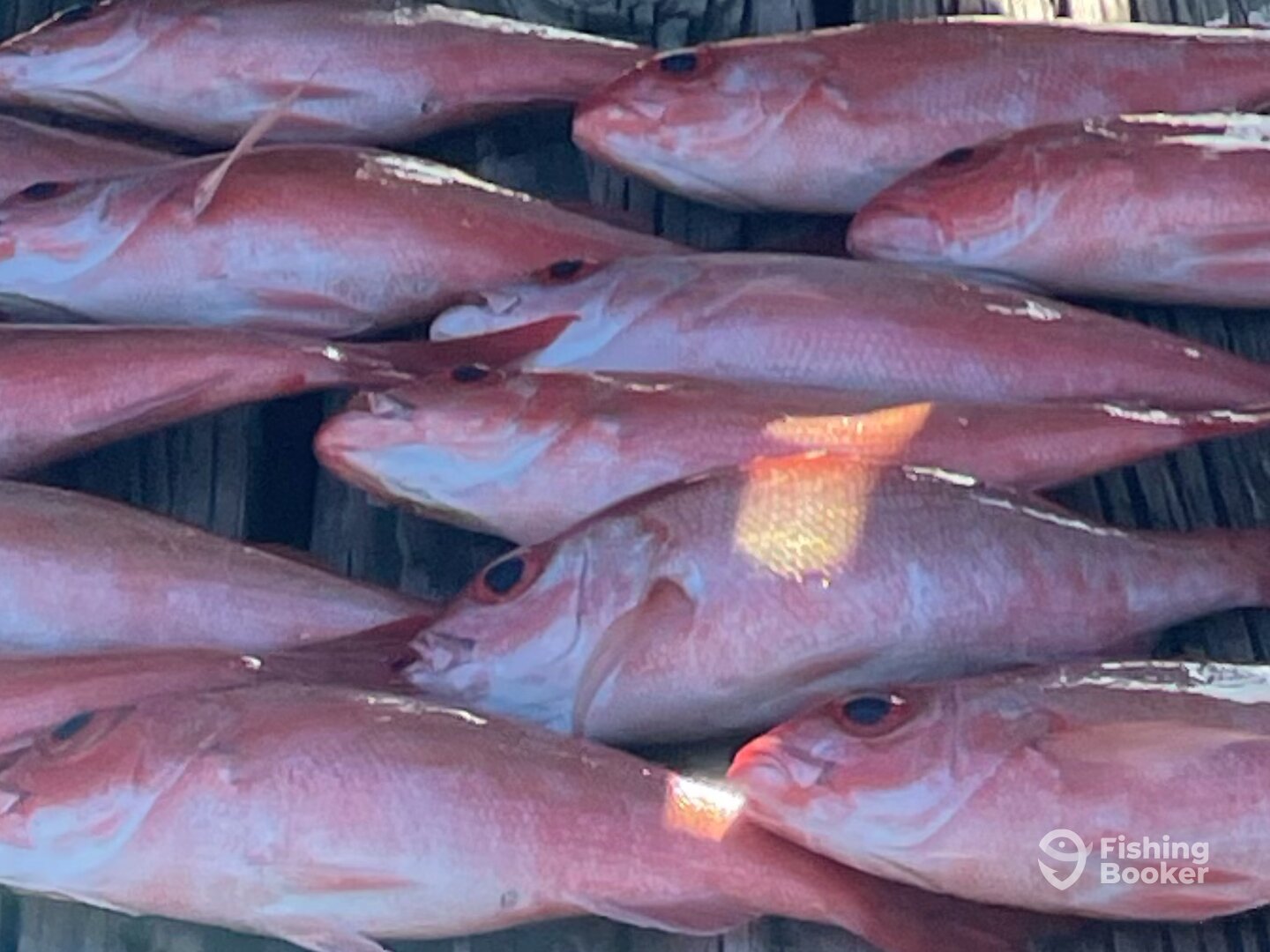 Niceville Report Photo 0