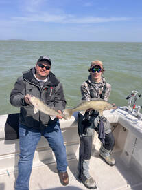 Big Walleye now!