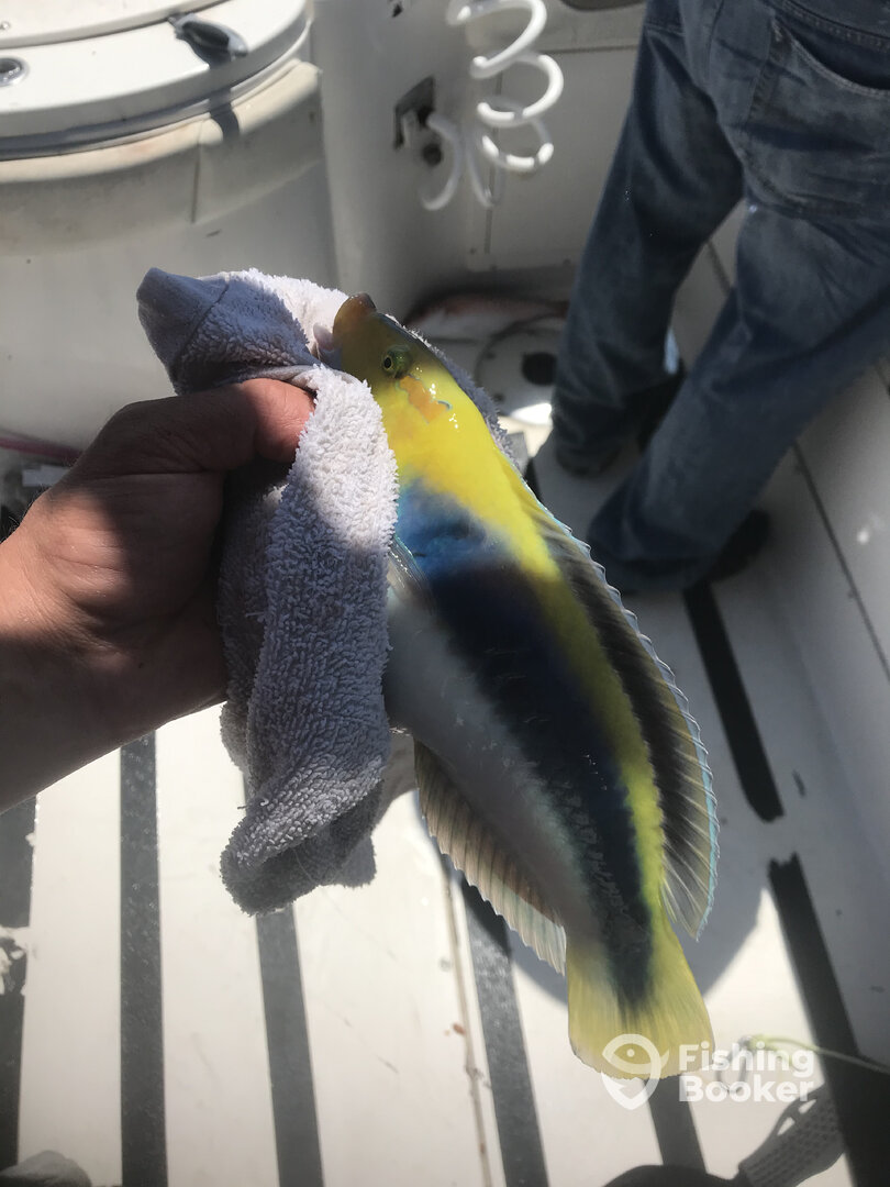 North Myrtle Beach Report Photo 0