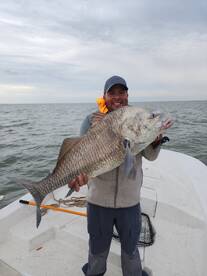 Galveston Report Photo 1