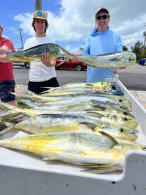 The mahi start show up on the keys 