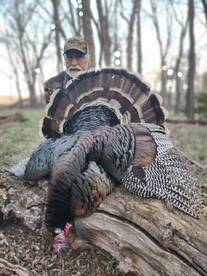 Yankeetown Report Photo 1