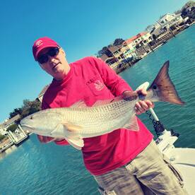 Redrum! Redrum! Redrum!