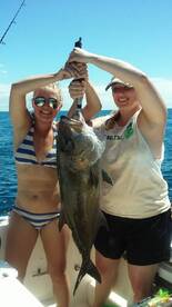 Amberjack caught inshore!