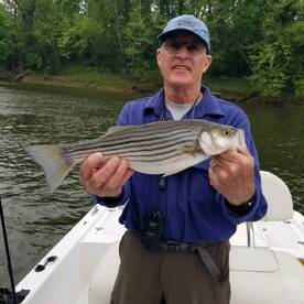 one of my favorite trips, A good way to 