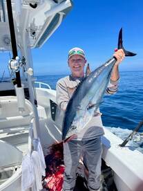 The BlueFin are in the backyard!