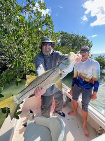 Some nice local snook!