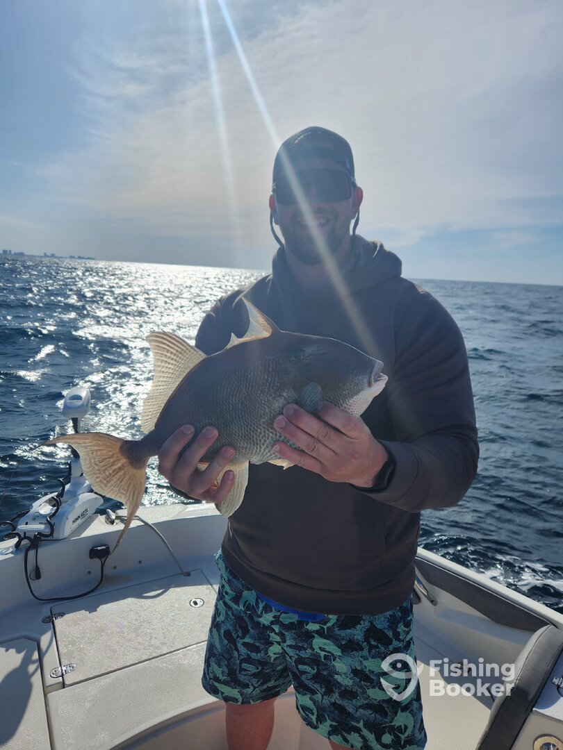 Niceville Report Photo 0