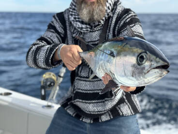 WAHOO AND BLACKFIN