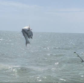 Islamorada Report Photo 2