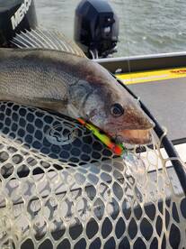 Lakeside Marblehead Report Photo 1