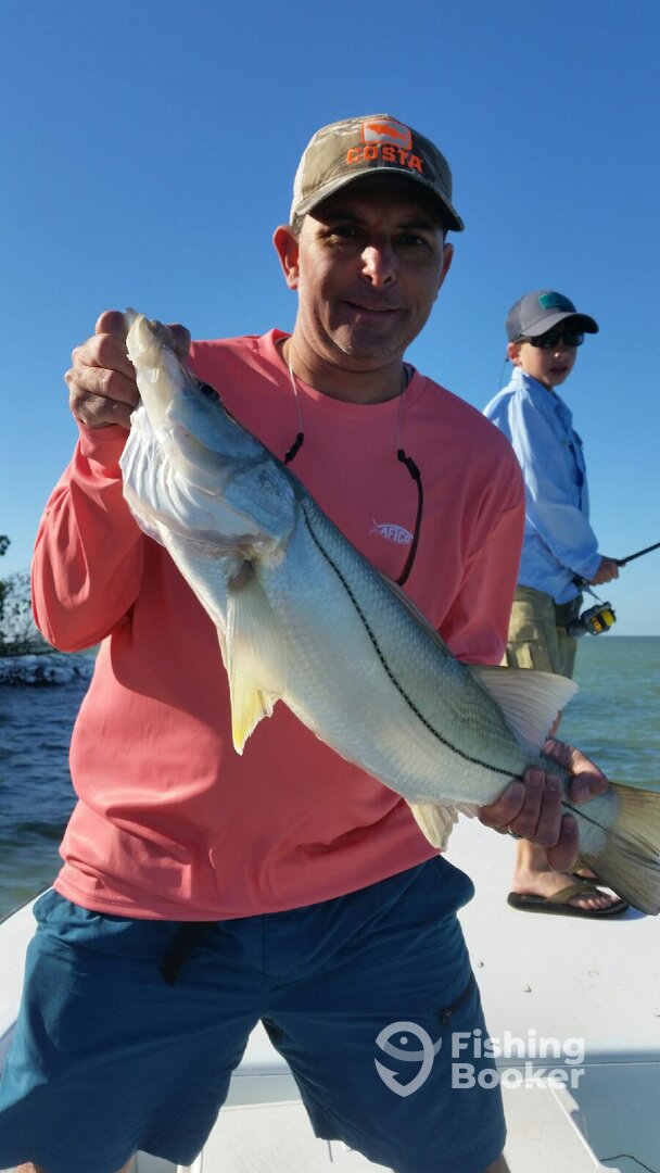 SNOOK
