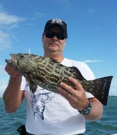 Black Grouper