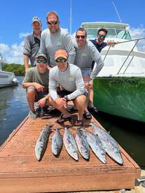 Dania Beach Report Photo 2